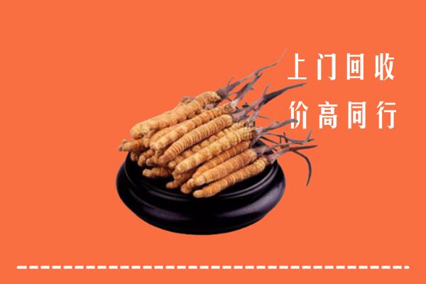 高价求购：铜陵市回收散虫草