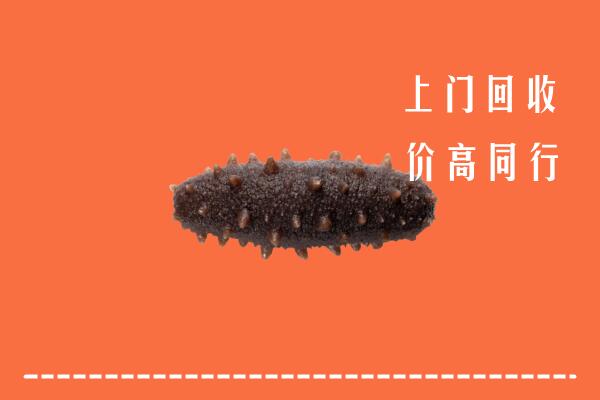 高价求购：铜陵市回收海参