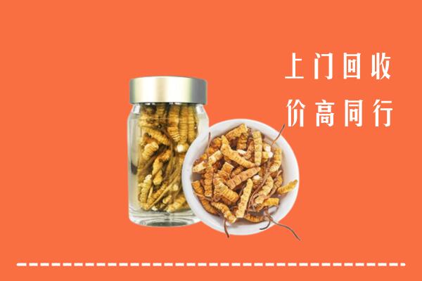 铜陵市回收冬虫夏草