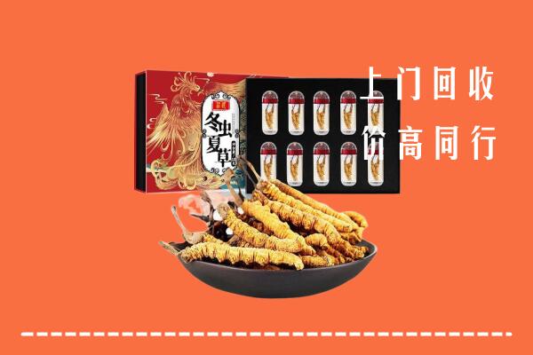 铜陵市回收虫草